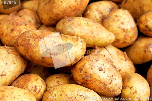 Image of Big sweet potatoes