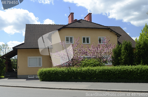 Image of mansion and flowering spring trees