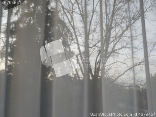 Image of translucent curtains behind which the sky and trees 