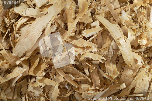 Image of a lot of fresh wood shavings