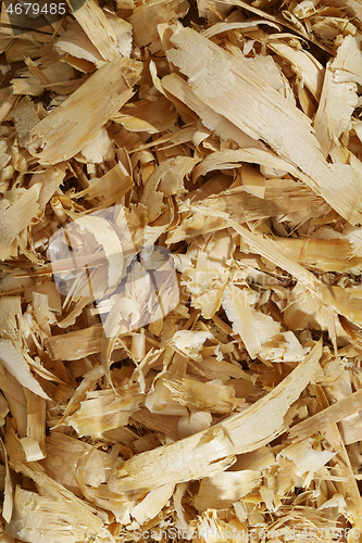 Image of a lot of fresh wood shavings