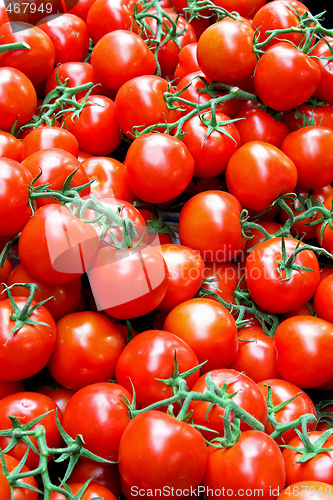 Image of Bunch of tomatoes