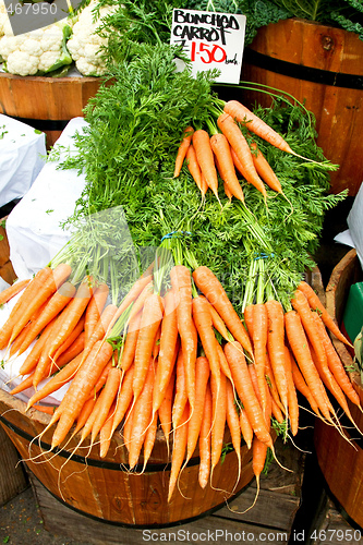 Image of Bunched carrots