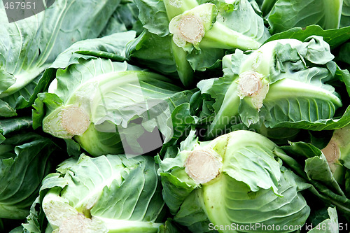 Image of Cabbage