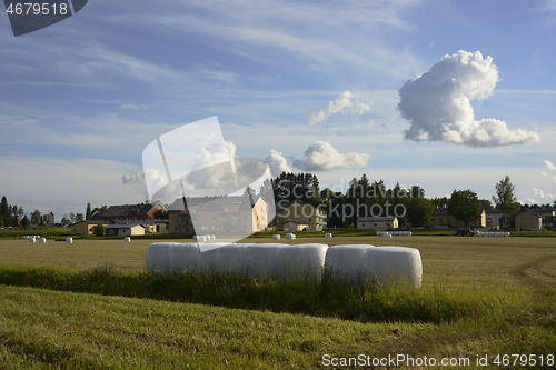 Image of sloping field and hay bales packed in white plastic