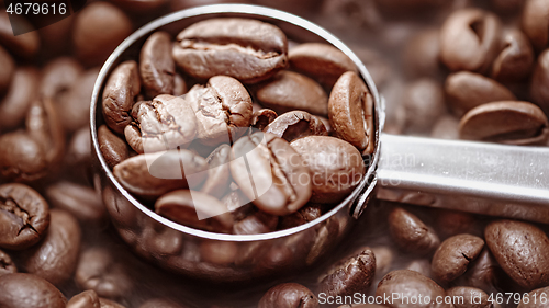 Image of Close up of seeds of coffee. Fragrant coffee beans are roasted s