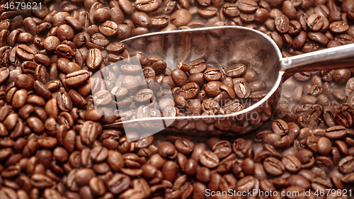 Image of Close up of seeds of coffee. Fragrant coffee beans are roasted s