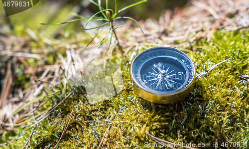 Image of Traveller compass on the grass in the forest