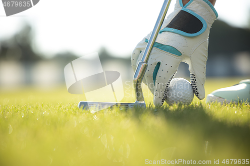 Image of Hand in glove placing golf ball on tee