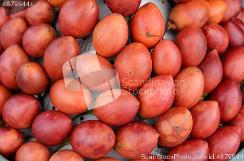 Image of Red tree tomato  