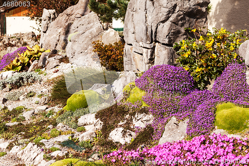 Image of Beautiful artificially created rock garden