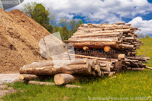 Image of logs stacked