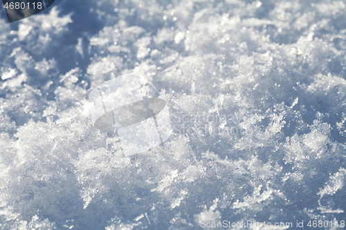 Image of Snow crystals close-up