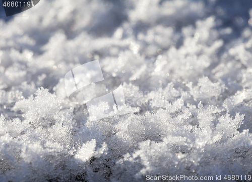 Image of Snow crystals close-up