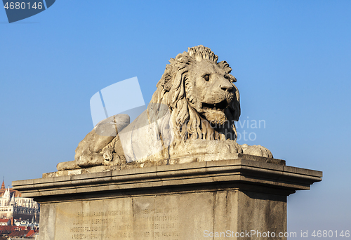 Image of Lion on the Szechenyi Chain Bridge in Budapest