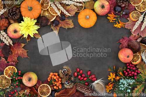 Image of Autumn Nature Background Border