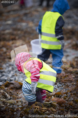 Image of Picking up Plastic Waste