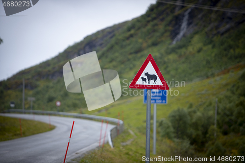 Image of Norwegian Mountain Road