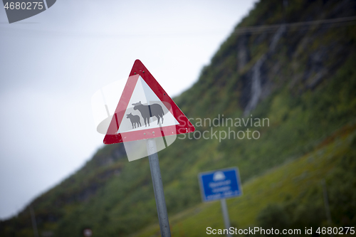 Image of Norwegian Mountain Road