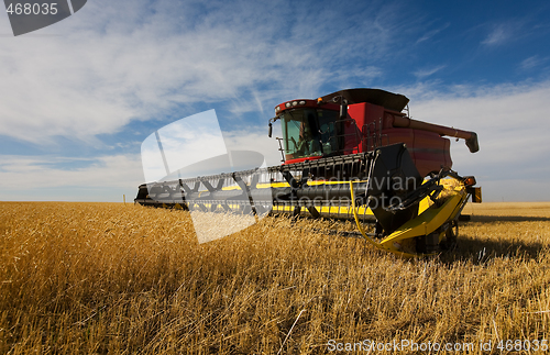 Image of Combine harvesting