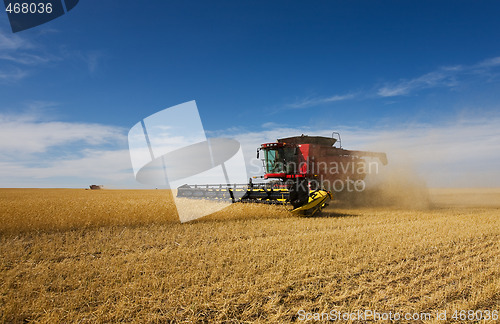 Image of Autumn harvest