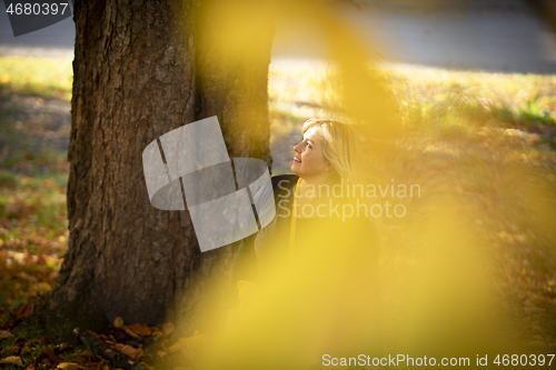 Image of Autumn in Norway