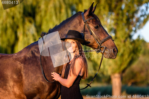 Image of Beautiful girl hugs a horse in the rays of the setting sun