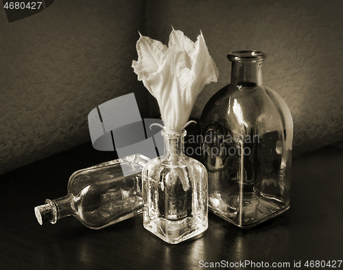 Image of Three Small Bottles and Cucurbita Flower