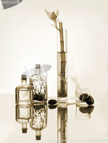 Image of Bamboo in vase, chestnuts and vintage glass botlles