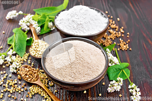 Image of Flour buckwheat brown and green in bowls on board