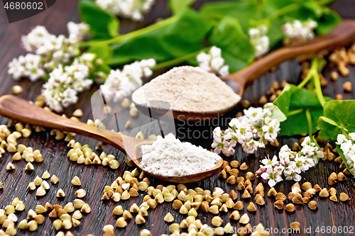 Image of Flour buckwheat green and brown in spoons on board