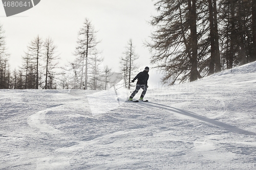 Image of Skiing in the winter snowy slopes