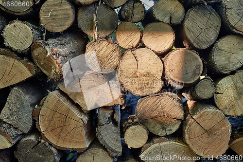 Image of Log wood pile