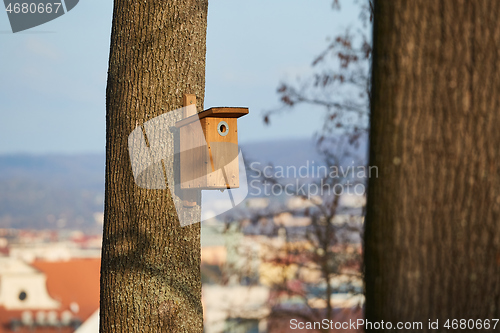 Image of Bird feeder in a park