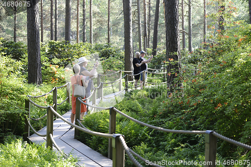 Image of Helsinki, Finland – June 17, 2020: Haaga Rhododendron Park in 