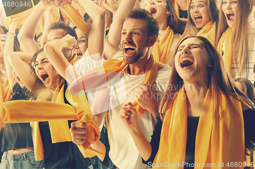 Image of stadium soccer fans emotions portrait