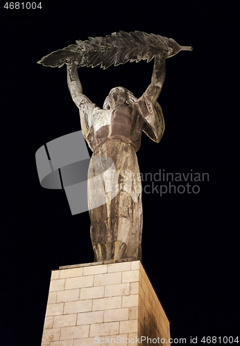Image of Budapest, HUNGARY - FEBRUARY 15, 2015 - Statue of Liberty in the night
