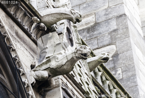 Image of Gargoyles of Notre Dame cathedral in Paris