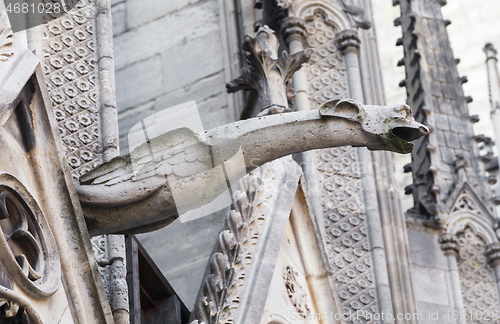 Image of Gargoyle of Notre Dame cathedral in Paris