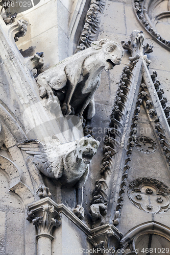 Image of Gargoyles of Notre Dame cathedral in Paris