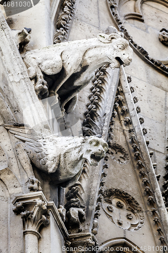 Image of Gargoyles of Notre Dame cathedral in Paris