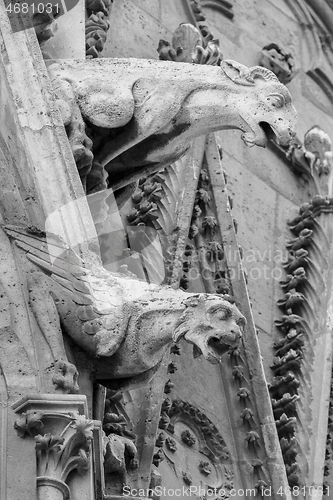 Image of Gargoyles of Notre Dame cathedral in Paris