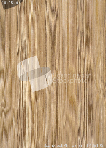 Image of wood grain surface