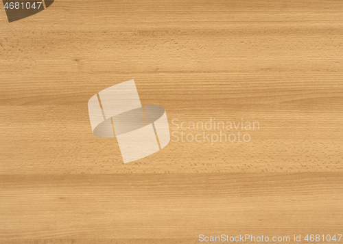 Image of wood grain surface