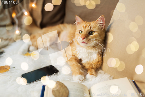 Image of red cat lying on sofa with smartphone at home