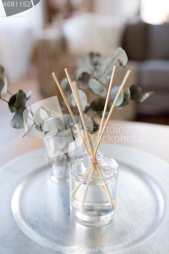 Image of aroma reed diffuser and branches of eucalyptus