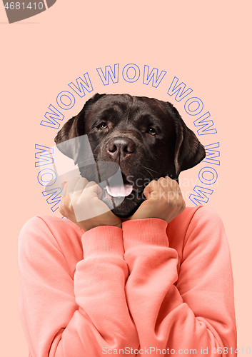 Image of Contemporary art collage or portrait of surprised dog headed woman. Modern style pop art zine culture concept.