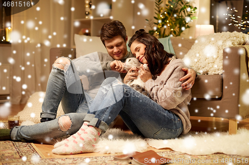 Image of happy couple with cat at home