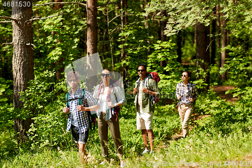 Image of group of friends with backpacks hiking in forest