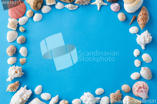 Image of frame of different sea shells on blue background